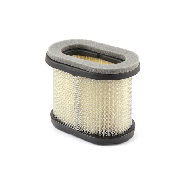 Briggs & Stratton Air Filter (4 of 697029) - 4207