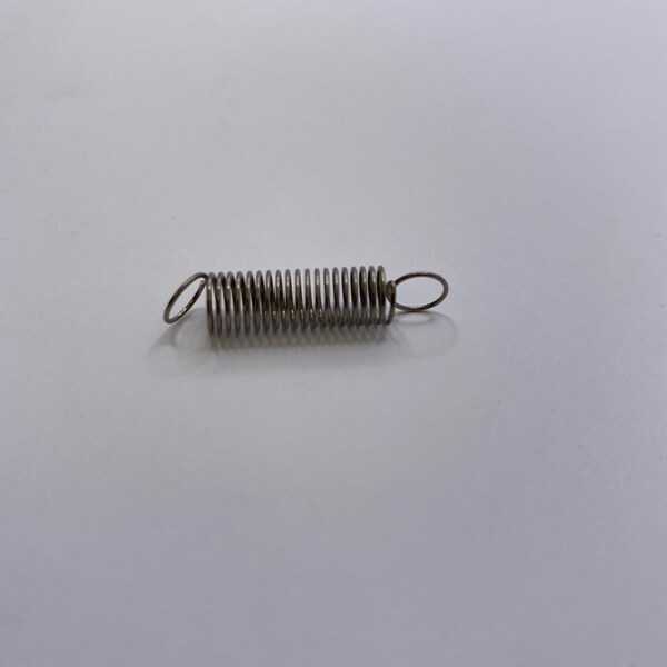 Tecumseh Gov Spring - 31361