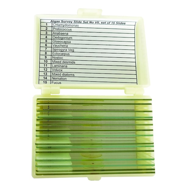 United Scientific Algae Survey Slide Set of 15 - UNSLALGE15