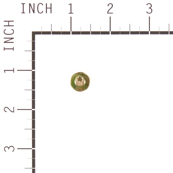 Briggs & Stratton SCREW - 699481