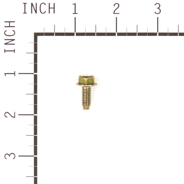Briggs & Stratton SCREW - 699481