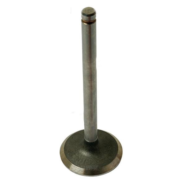 Aftermarket S.41747 Valve, Intake, 31431154 - 738095M1