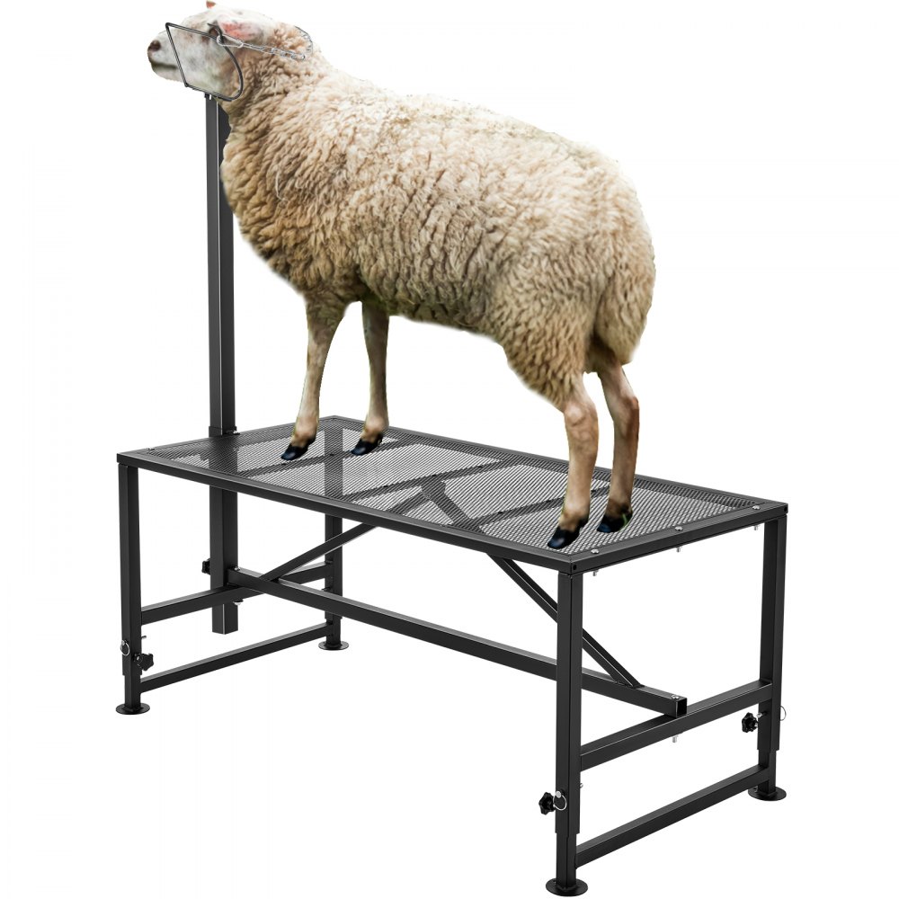 VEVOR Goat & Sheep Stand, 51x23 inch Livestock Stand, Metal Livestock Milking and Shearing Stand 21" to 33" Adjustable Height, with Headpiece and Nose Loop, 500lbs Loading Weight, Black - SCXJJHSYTM519ZQT8V0