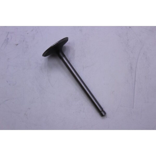 Kohler Valve Intake - 62 017 01-S