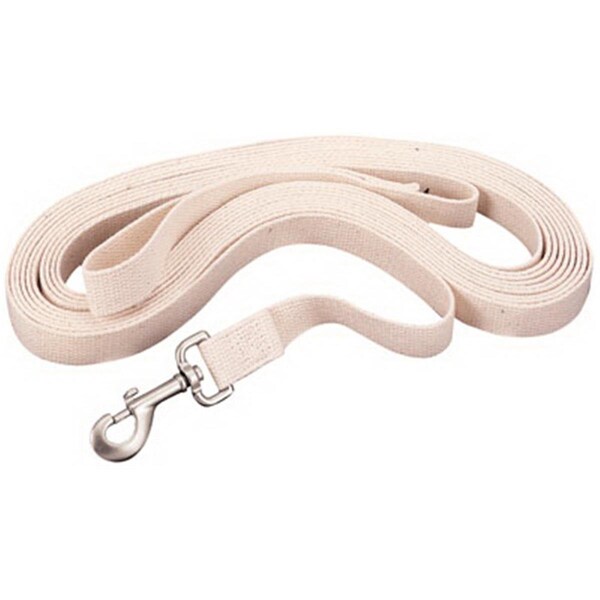 Daretocare 35-4011 1 in. x 30 ft. Flat Cotton Lunge Line - Off White - DA2484657