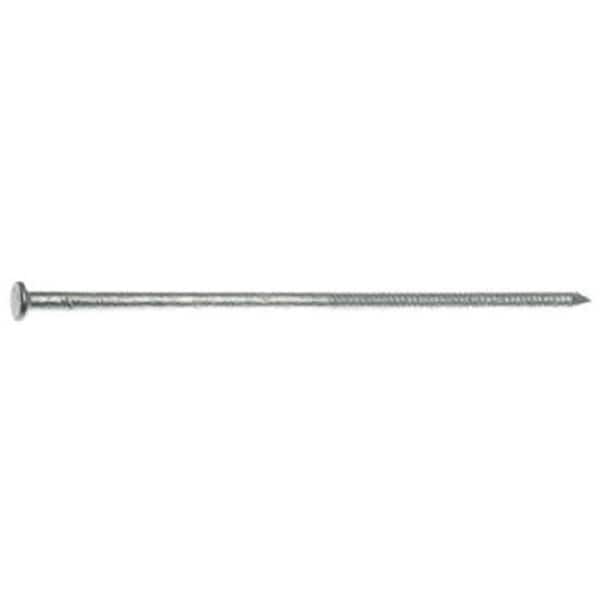 Maze Nails Maze Nails H530A 60D 6 in. Oil Quenched Hardened Ring Shank Polebarn Nail - 50 lbs. - 540401