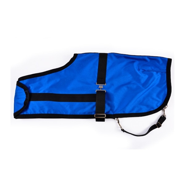 Jacks Imports Expandable Foal Blanket ROYAL/BLCK - 10523-RY-BK