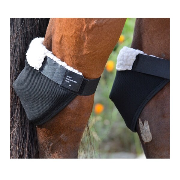 Click Horse Products Click Hock Shields XL/DRAFT - 4274-XL