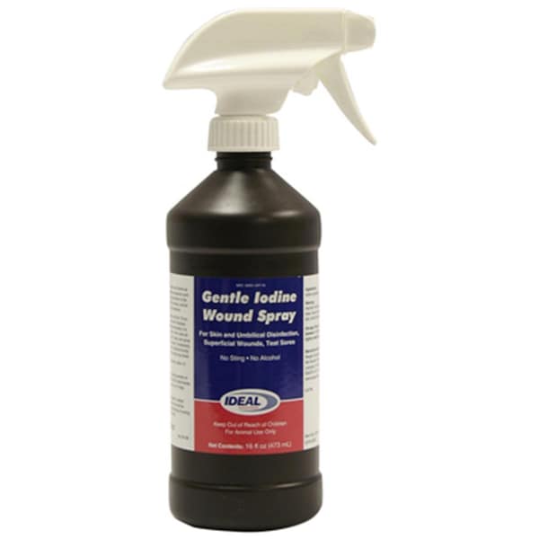 Neogen 79214 16 oz. 1 Percentage Iodine - NE574172