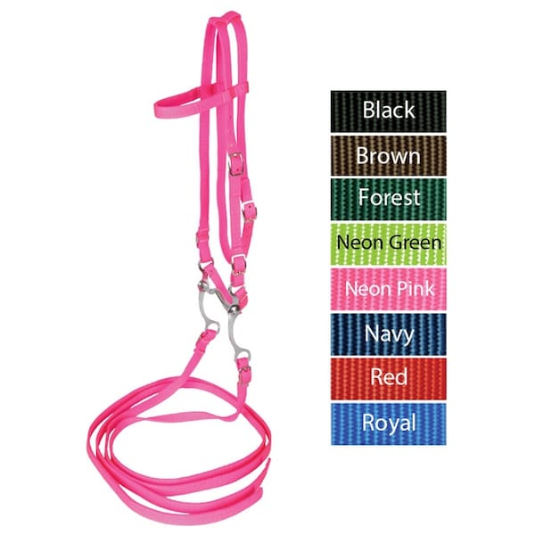 Jacks Imports Bridle with Reins & Curb Bit NEON PINK - 10337-NP