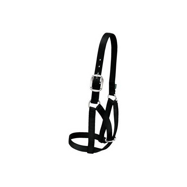 Weaver Leather MED BLK Cow Barn Halter - 35-8004-BK