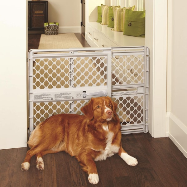 North States Industries North States 26 in. H X 26-42 in. W Plastic Pet Gate - 8625