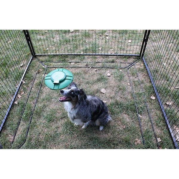 K9 Kennel Store In Ground Dog Kennel Septic Tank - K9-SEPTIC