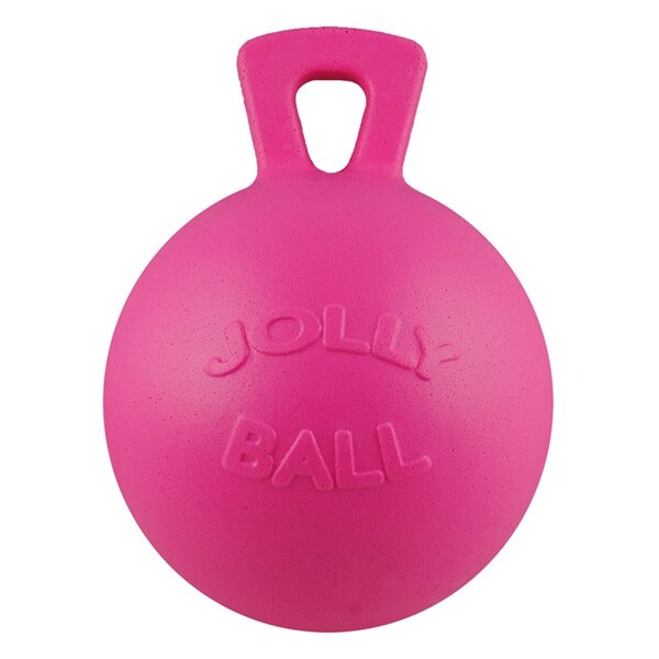 Horsemens Pride Jolly Ball with Handle Bubble Gum Scented 10" - 1172-BG