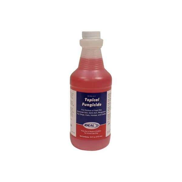 Neogenrporation 16OZ Fungicid Treatment - 79209