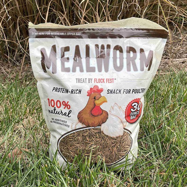 Flock Fest Dried Mealworms for Chickens, Wild Birds, Ducks, and Small Pets, 30 oz Bag, 3PK - 27077088922