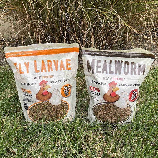 Fickle Fowl Feast of 30 oz Dried Mealworms and Dried Black Soldier Fly Larvae - 27077088991