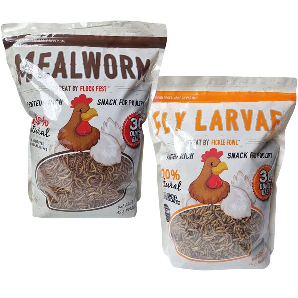Fickle Fowl Feast of 30 oz Dried Mealworms and Dried Black Soldier Fly Larvae - 27077088991