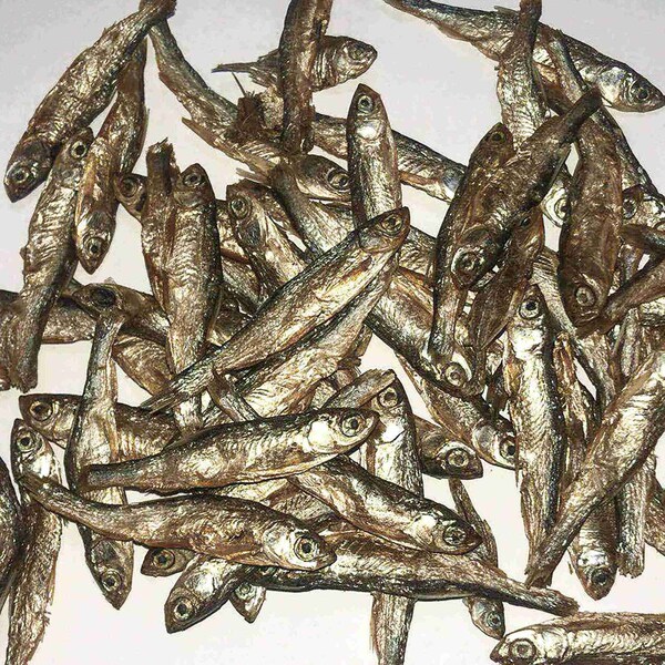 Fickle Fowl 10 oz Bag Dried Minnows for Chickens, Wild Birds, Ducks, and Small Pets, 6PK - 27077088946
