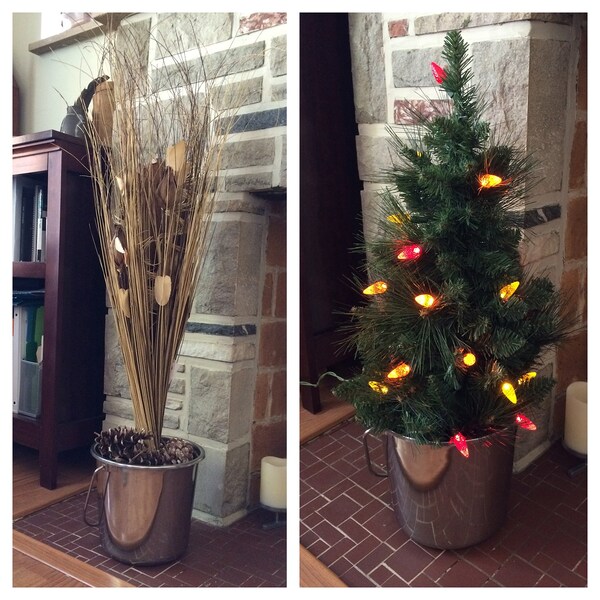 Sportsman 1 Gal Stainless Steel Bucket , 6PK - 27077087079