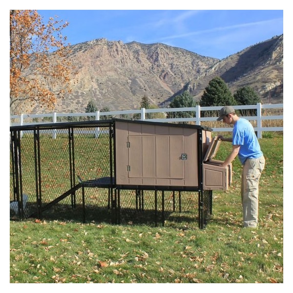 Chicken Condos 4ft X 4ft Urban Chicken Coop - URBCKCO