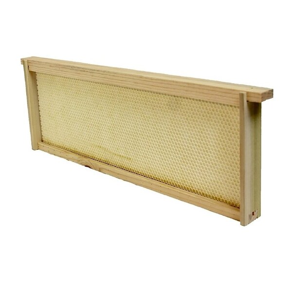 Harvest Lane Honey Bee Hive Foundation, Plastic/Wood, For: 6-7/8 in Medium Honey Super Boxes - WWFFM-102