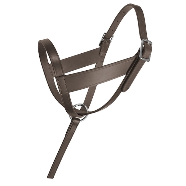 Jacks Imports Lexington Leather Foal Halter - 1656