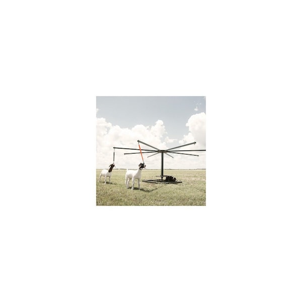 Weaver Livestock Sheep/Goat Training Halter, Black, 80-140 Lbs., Small - 35-7130-BK