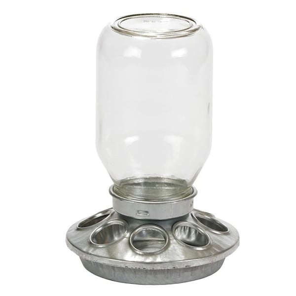 Little Giant BABY CHICK FEEDER MASON JAR - MJ9810