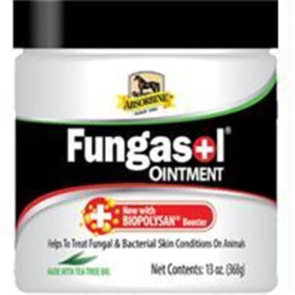W.F. Young W F Young; Inc-Absorbine Fungasol Ointment 13 Ounce - 689500
