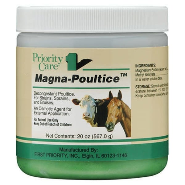 Magna-Poultice Magna Poultice, 20 oz - 16254251