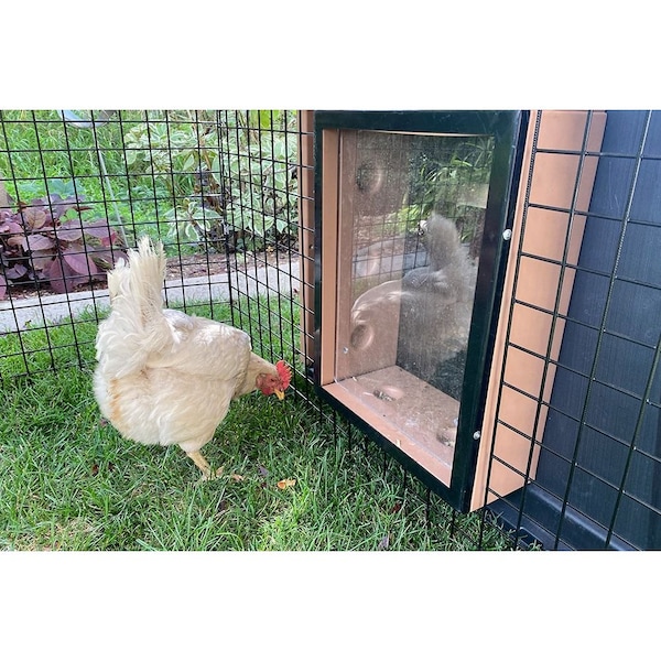 Chicken Condos Coop DeVille Chicken Coop With 4ft X 10ft X 48in Tall Run Basic - CDCC4X10X48R-B