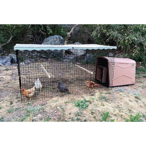 Chicken Condos Coop DeVille Chicken Coop With 4ft X 10ft X 48in Tall Run Basic - CDCC4X10X48R-B