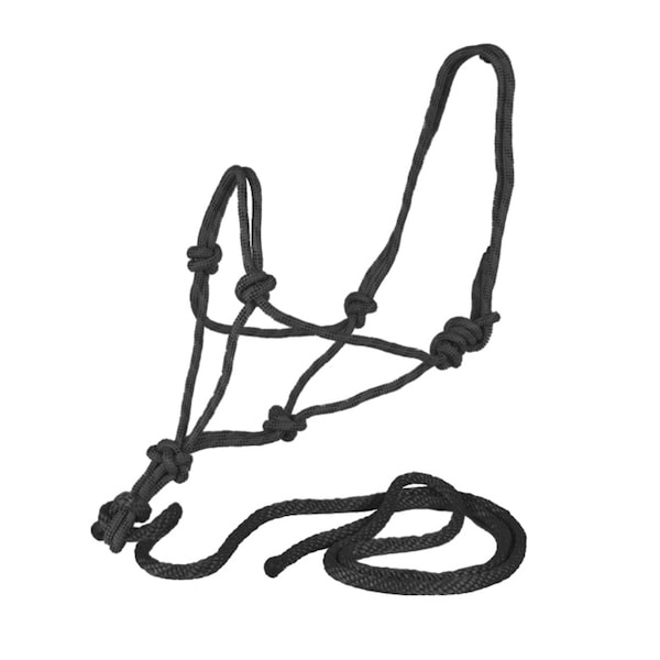 Jacks Imports Rope Halter with Rope Lead ROYAL - 1085-RY