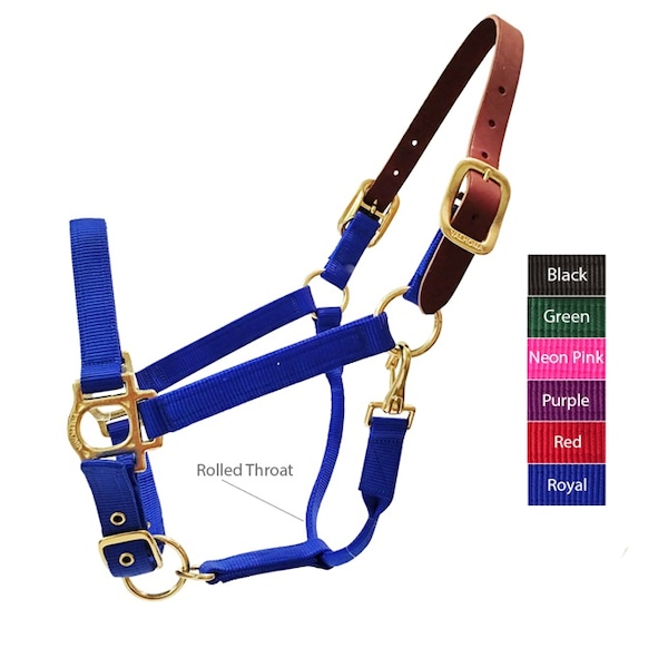 Valhoma Valhoma Breakaway Halter PURPLE 1100-1500L - 3361-PU-L