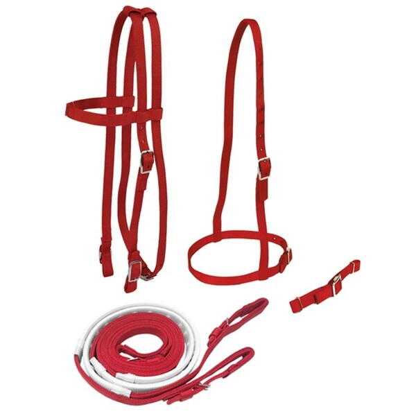 Jacks Jacks 4346-RY Race Bridle Set with Buckle Reins; Royal - 4346-RY