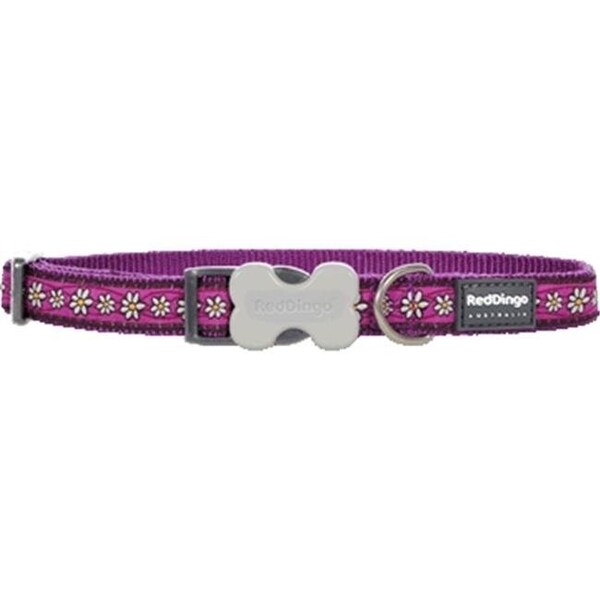 Red Dingo Red Dingo DC-DC-PU-ME Dog Collar Design Daisy Chain Purple; Medium - DC-DC-PU-ME