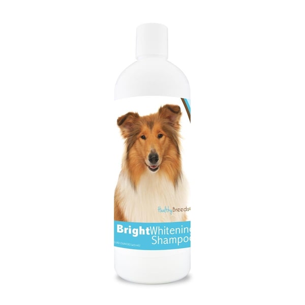 Healthy Breeds 12 oz Collie Bright Whitening Shampoo - 840235105008
