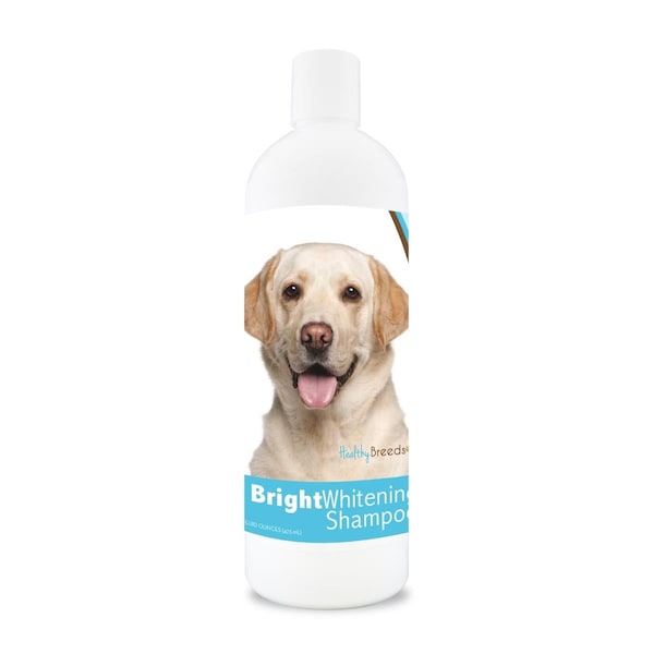Healthy Breeds 12 oz Labrador Retriever Bright - Whitening Shampoo - 840235109624