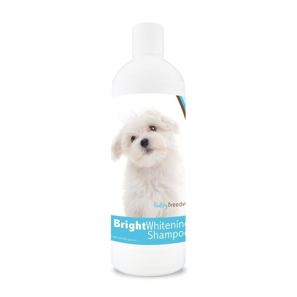 Healthy Breeds 12 oz Maltese Bright Whitening Shampoo - 840235110620