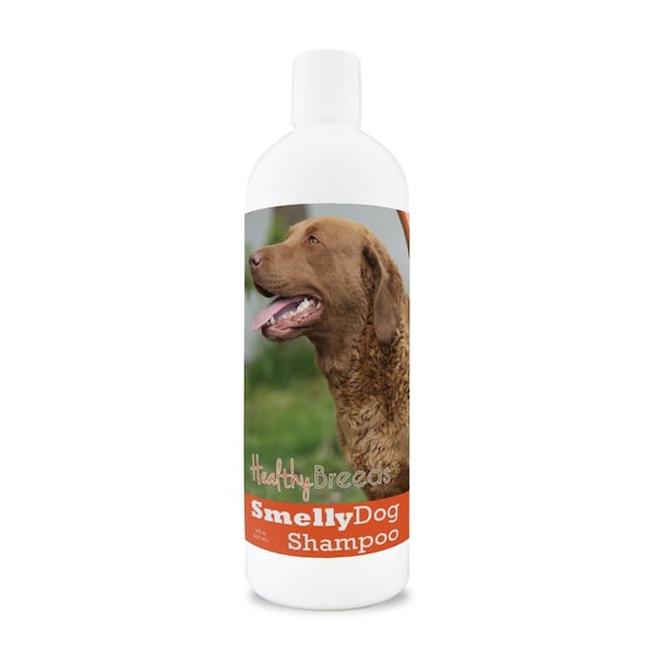 Healthy Breeds Chesapeake Bay Retriever Smelly Dog Baking Soda Shampoo - 840235160335