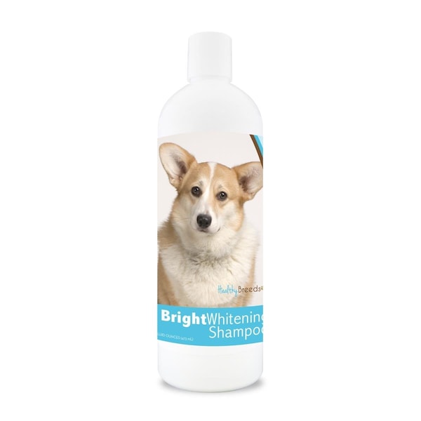 Healthy Breeds 12 oz Cardigan Welsh Corgi Bright Whitening Shampoo - 840235104575