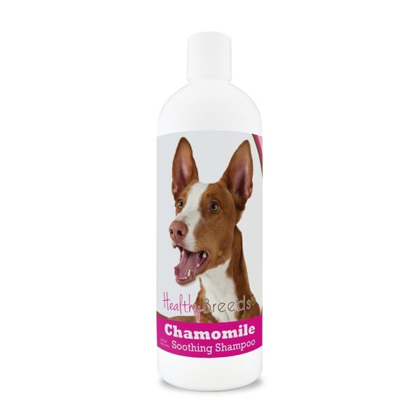 Healthy Breeds 8 oz Ibizan Hound Chamomile Soothing Dog Shampoo - 840235199410