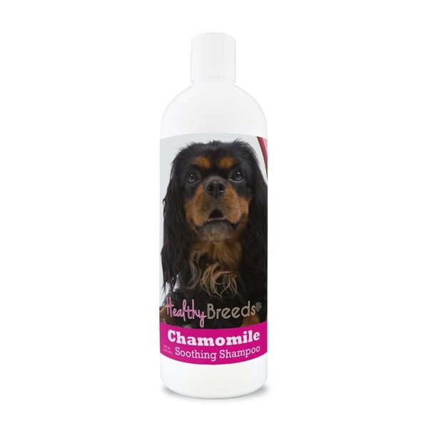Healthy Breeds 8 oz English Toy Spaniel Chamomile Soothing Dog Shampoo - 192959000696