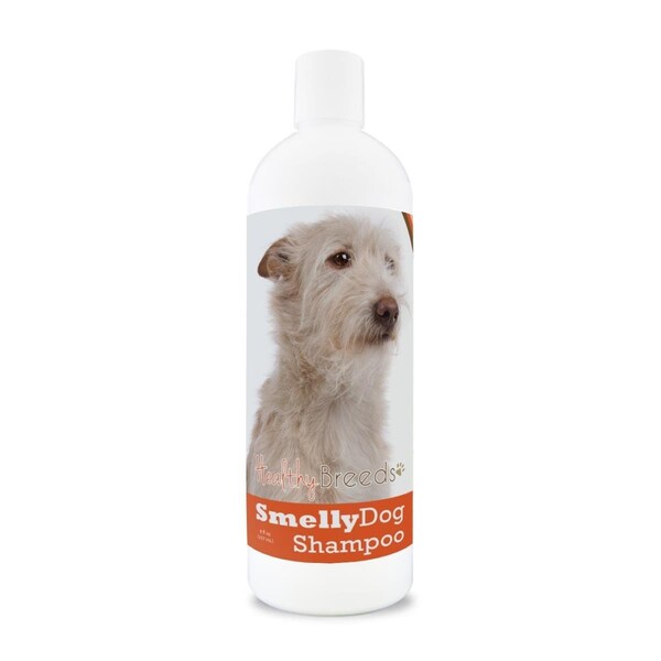 Pamperedpets 8 oz Portuguese Podengo Pequeno Smelly Dog Baking Soda Shampoo - PA3489864