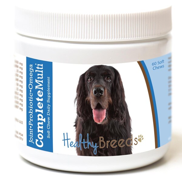 Healthy Breeds Gordon Setter All in One Multivitamin Soft Chew, 60PK - 192959008170