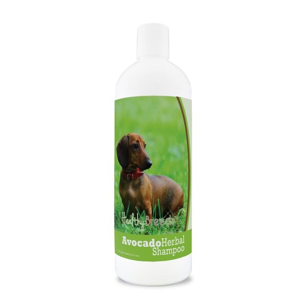 Pamperedpets Dachshund Avocado Herbal Dog Shampoo - PA3487172