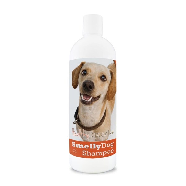 Pamperedpets 8 oz Chiweenie Smelly Dog Baking Soda Shampoo - PA3490218