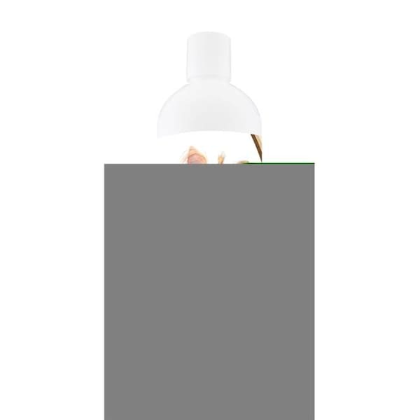 Healthy Breeds Healthy Breeds 840235116844 16 oz Yorkshire Terrier Oatmeal Shampoo with Aloe - 840235116844