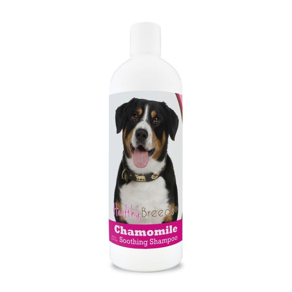 Healthy Breeds 8 oz Entlebucher Mountain Dog Chamomile Soothing Dog Shampoo - 192959000474